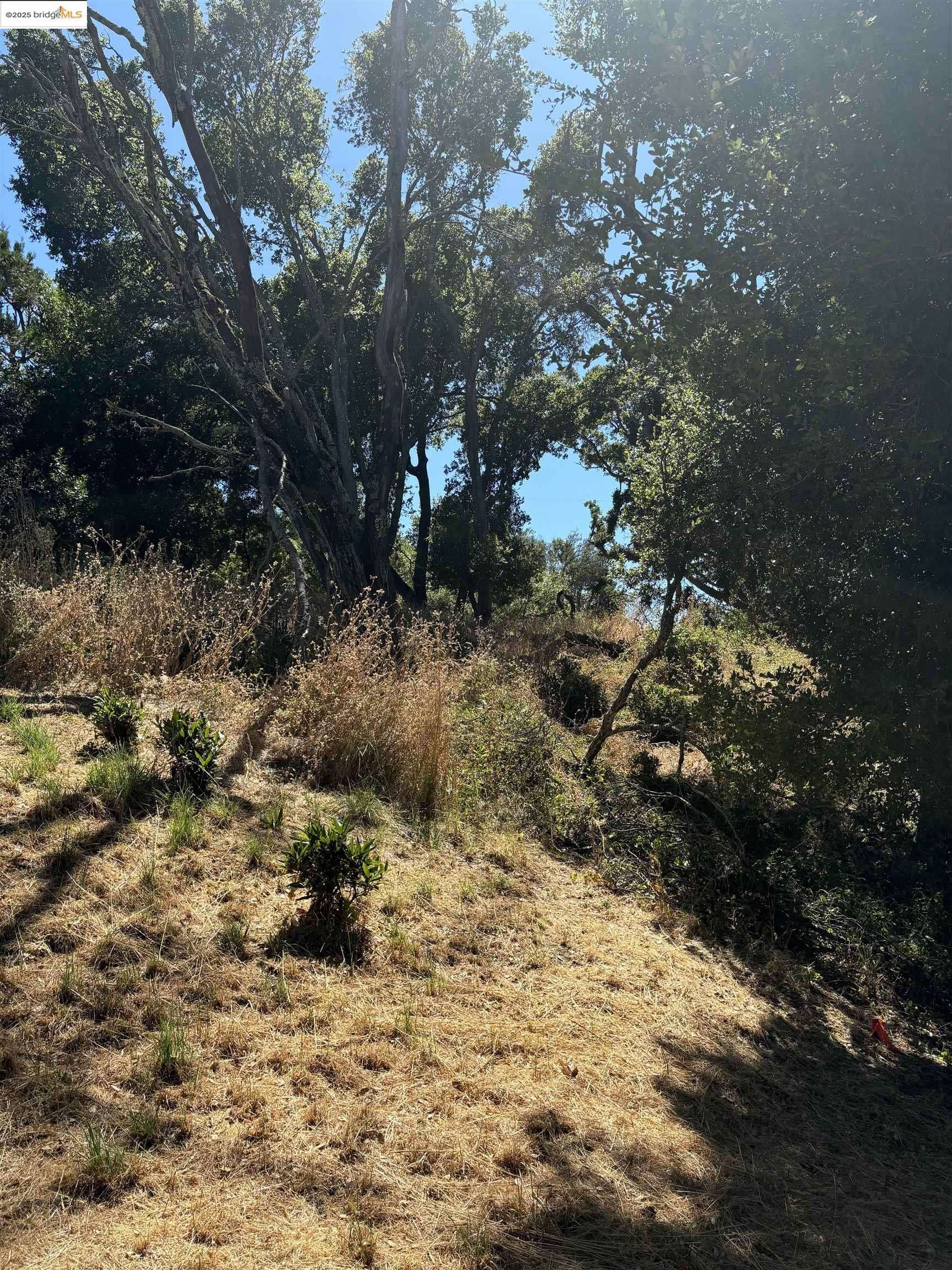 Orinda, CA 94563,Spring Rd