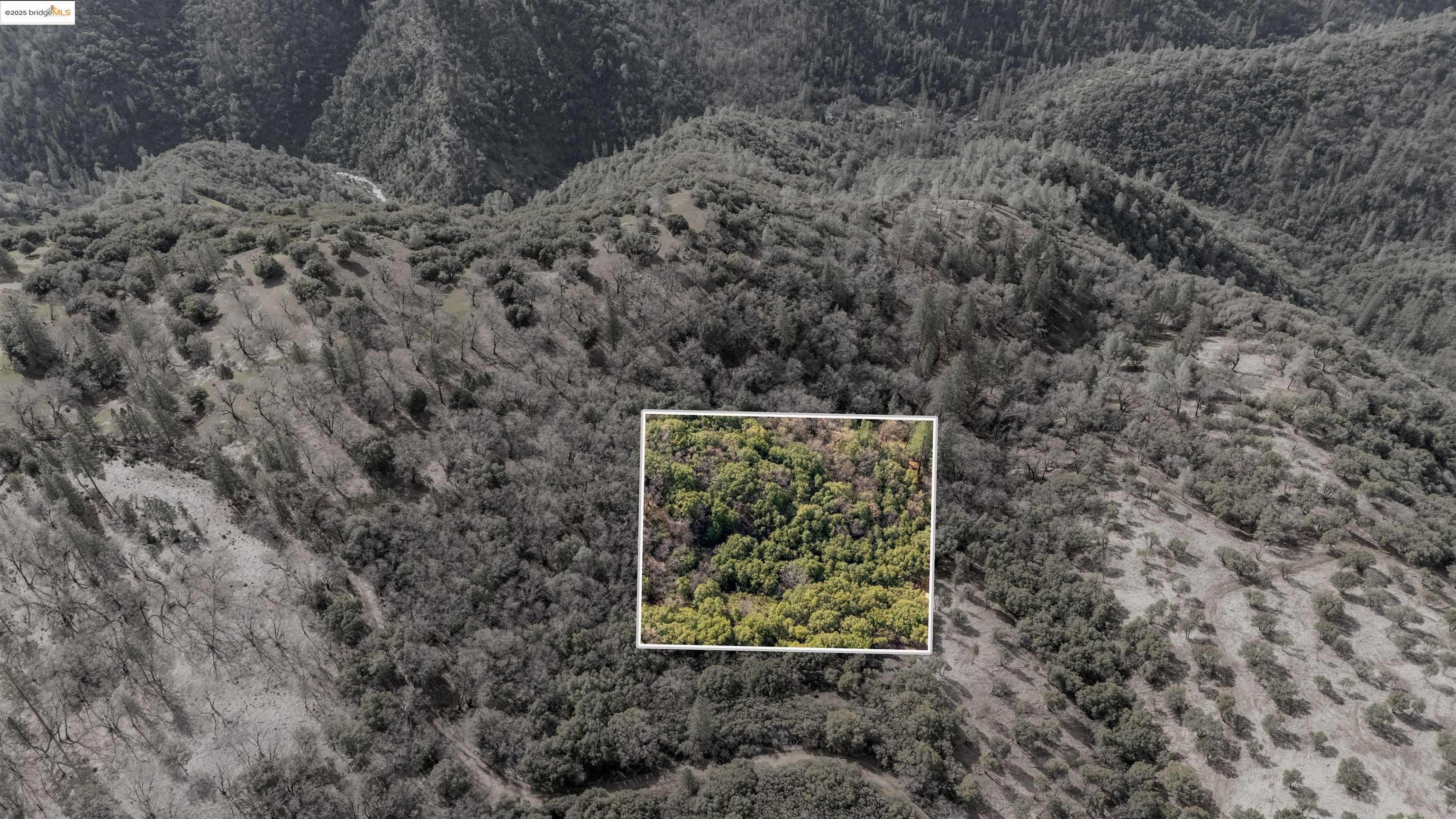 Columbia, CA 95310,25555 Grant Ridge Rd