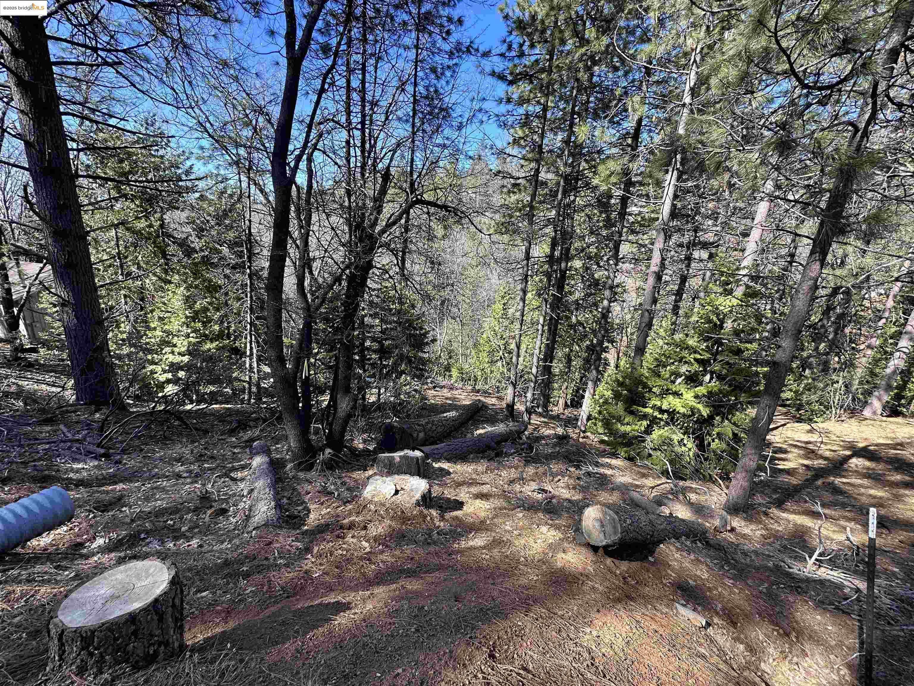 Sonora, CA 95370,23956 Stable Rd