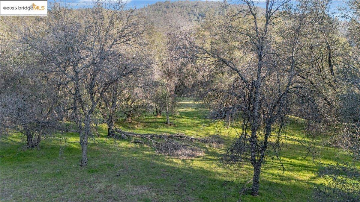 Sonora, CA 95370,Old Wards Ferry