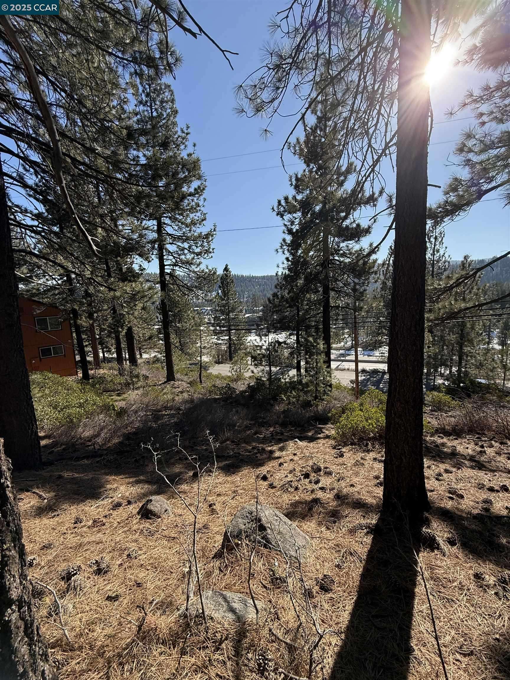 Truckee, CA 96161,12442 Richards Blvd