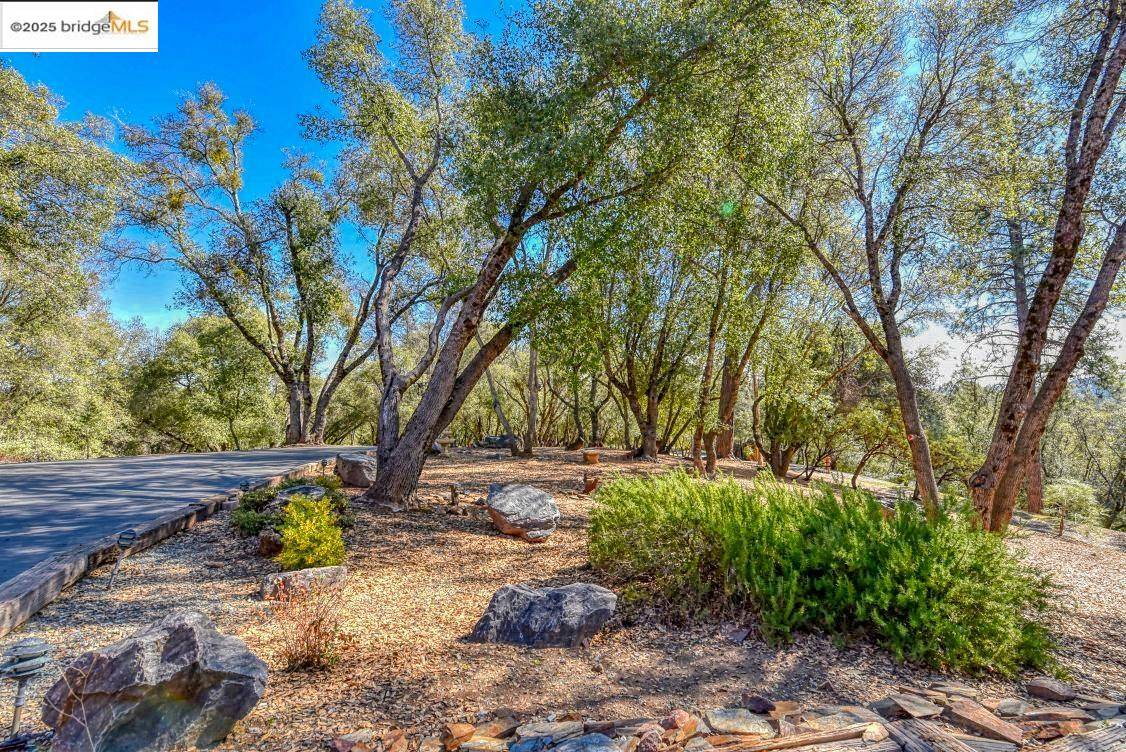 Groveland, CA 95321,20591 Chaparral