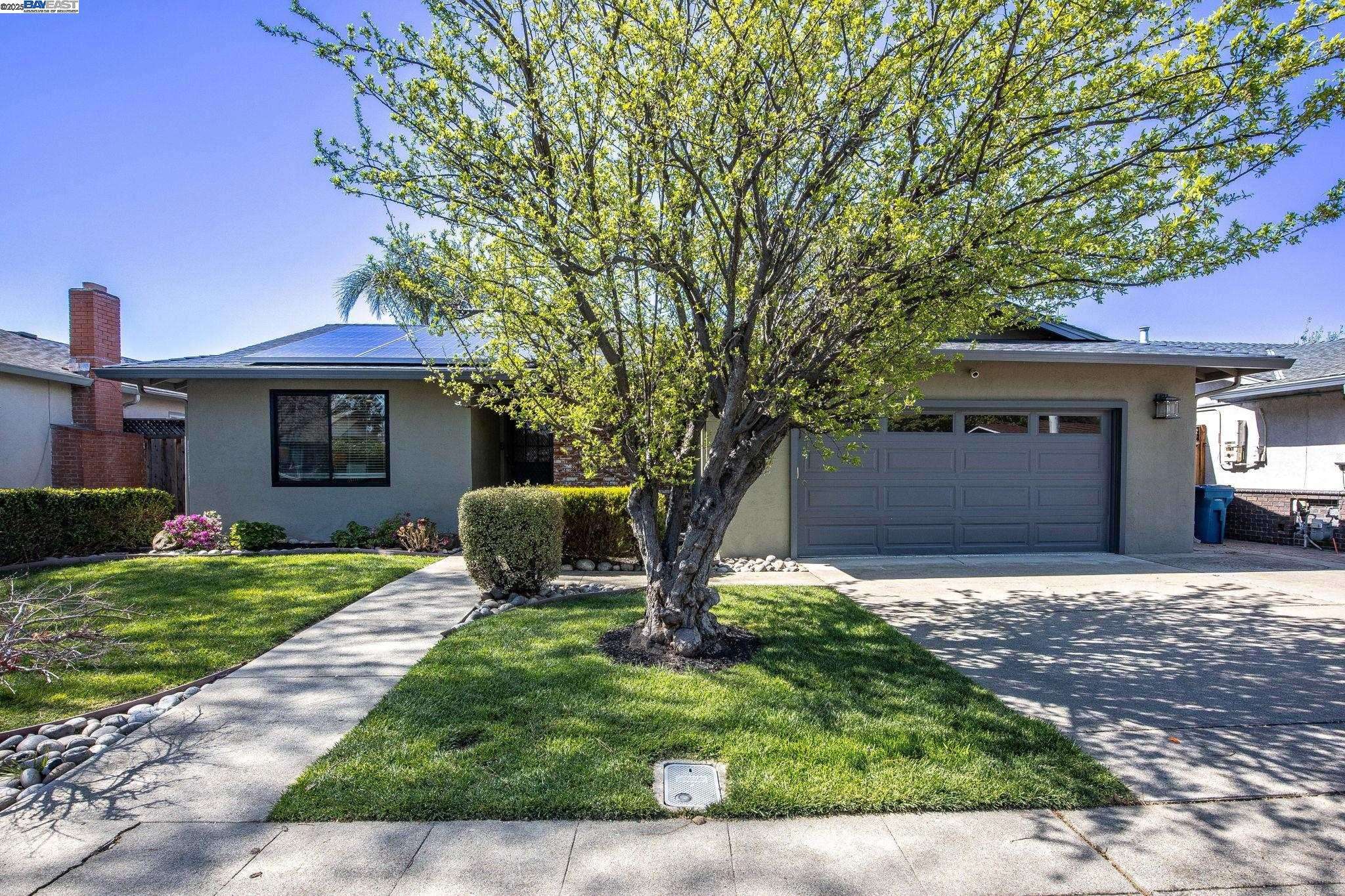 Union City, CA 94587,2153 Farrol Ave