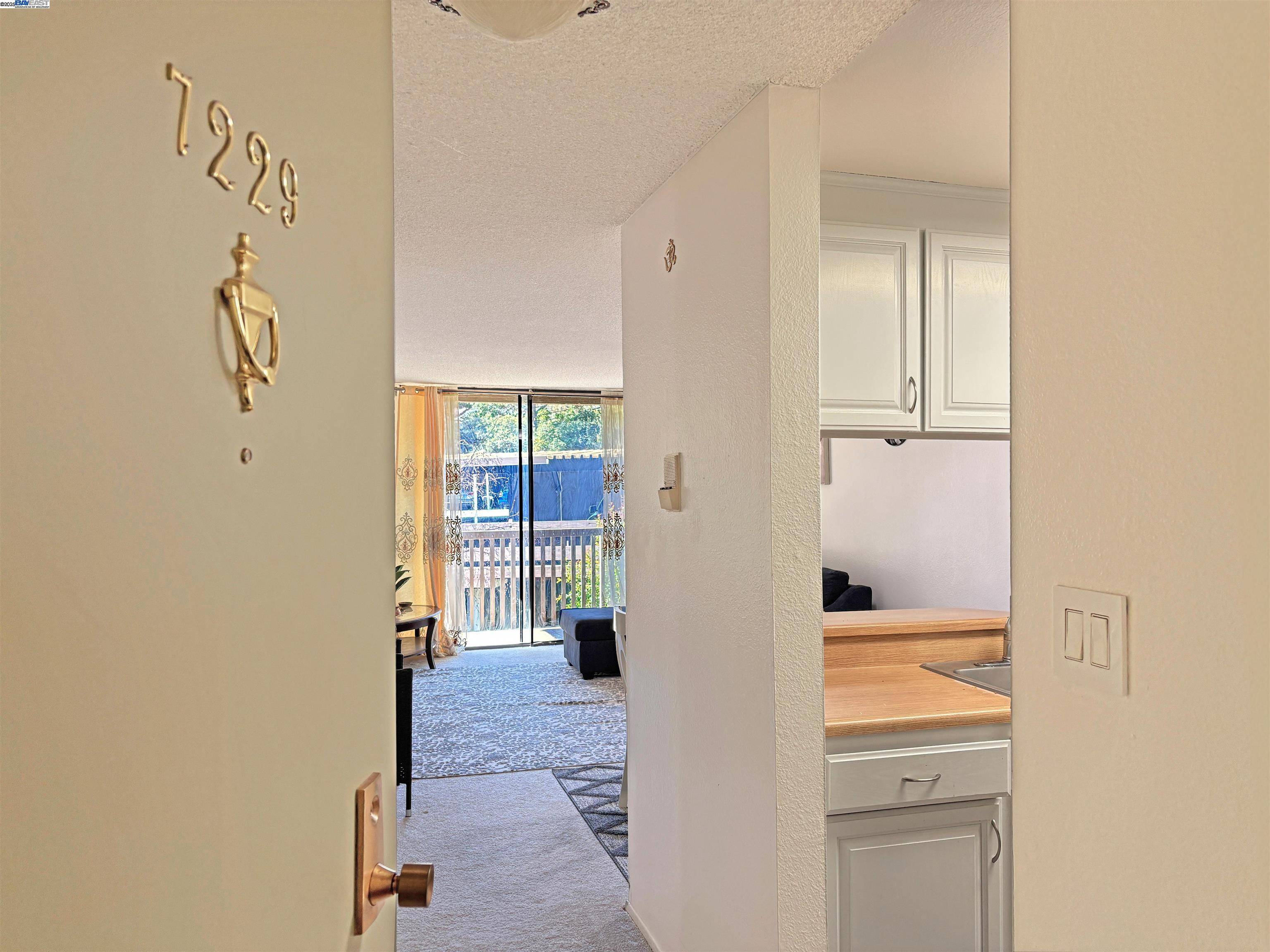 San Bruno, CA 94066,7229 Shelter Creek Ln