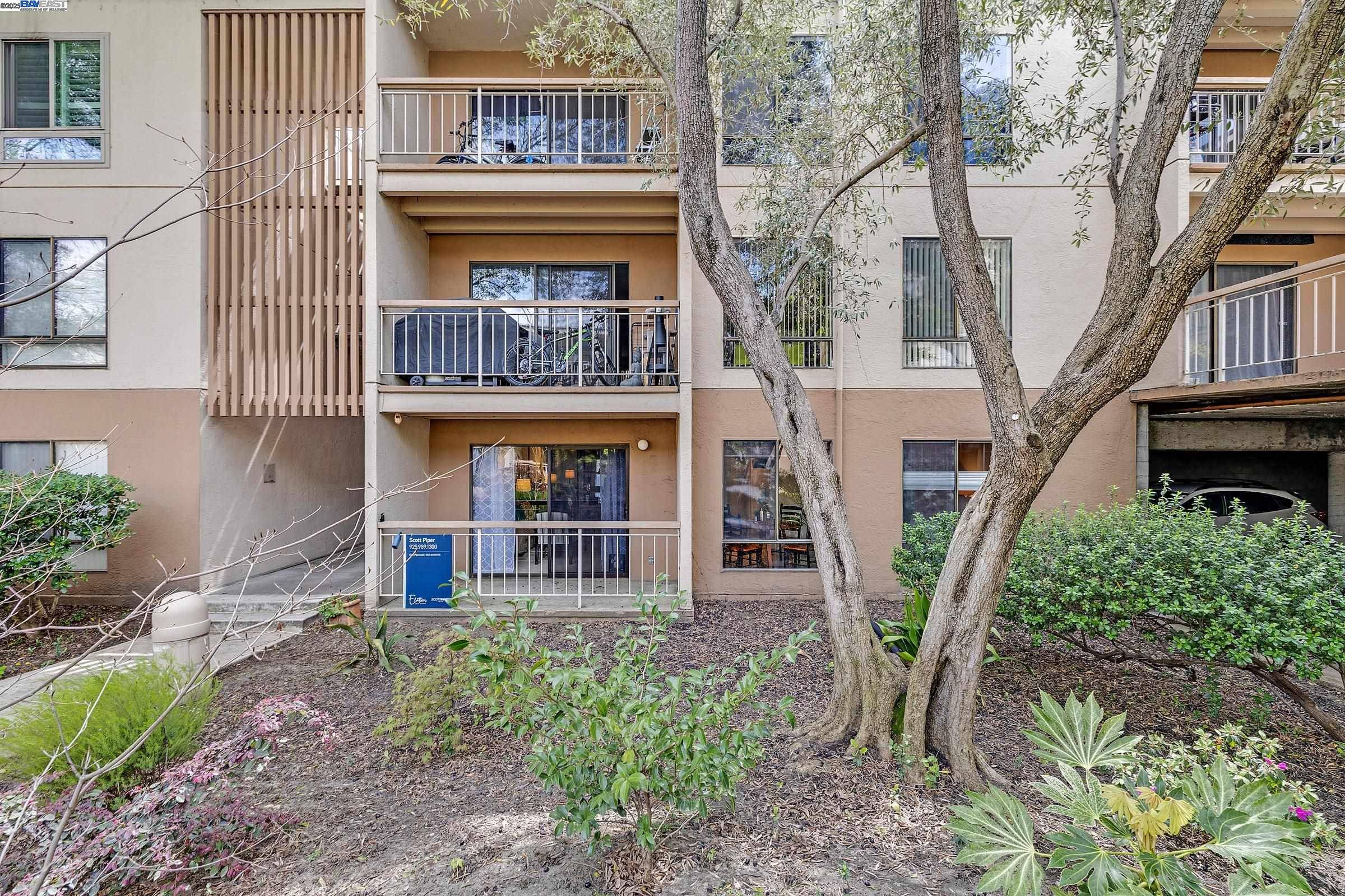 Walnut Creek, CA 94596,420 N Civic Dr #101