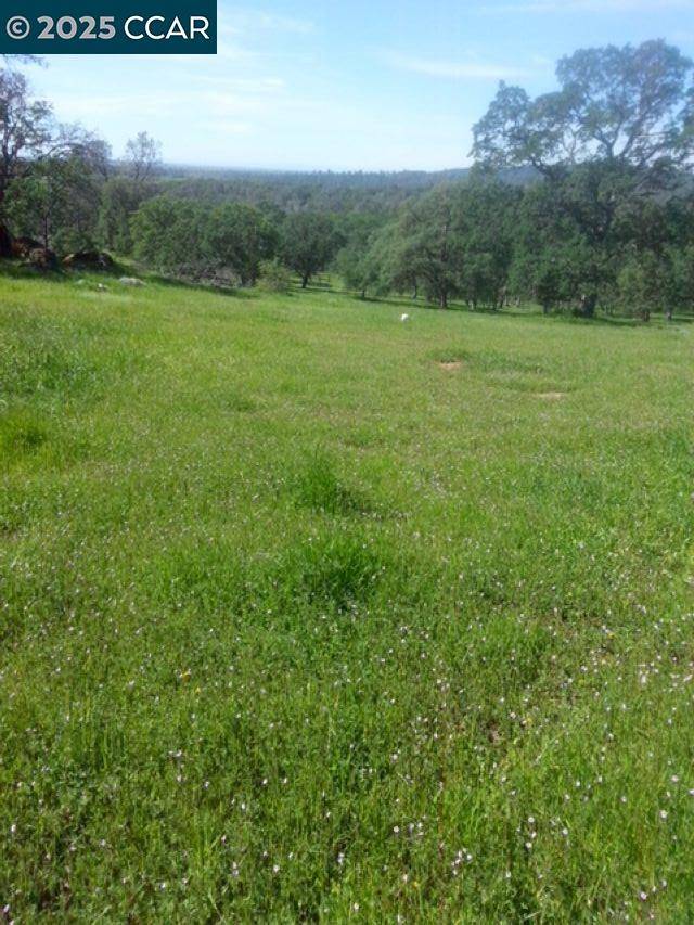 Browns Valley, CA 95918,56 Deer Hollow Trail