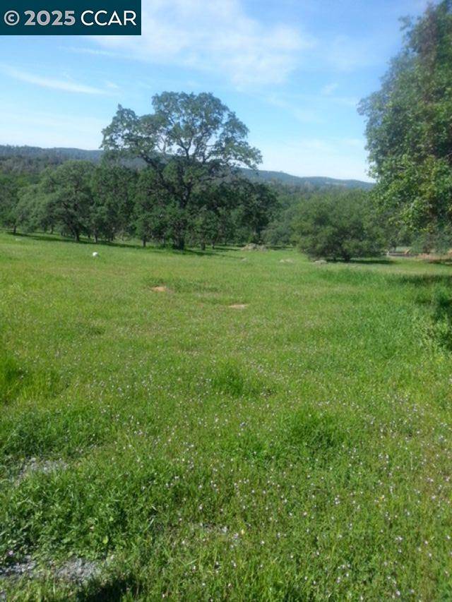 Browns Valley, CA 95918,56 Deer Hollow Trail