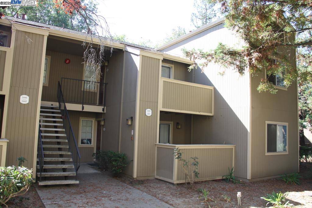 Fremont, CA 94536,3449 Foxtail Ter