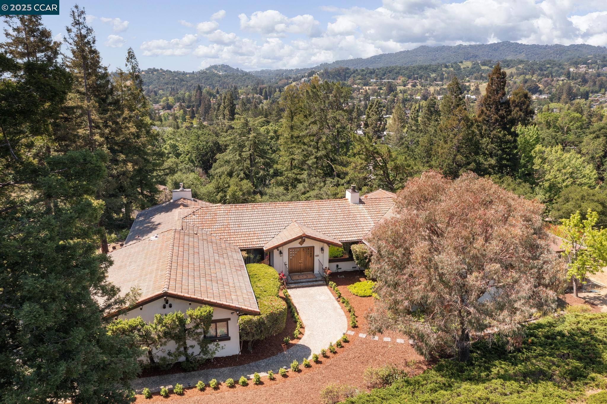 Pleasant Hill, CA 94523,14 Pillon Real