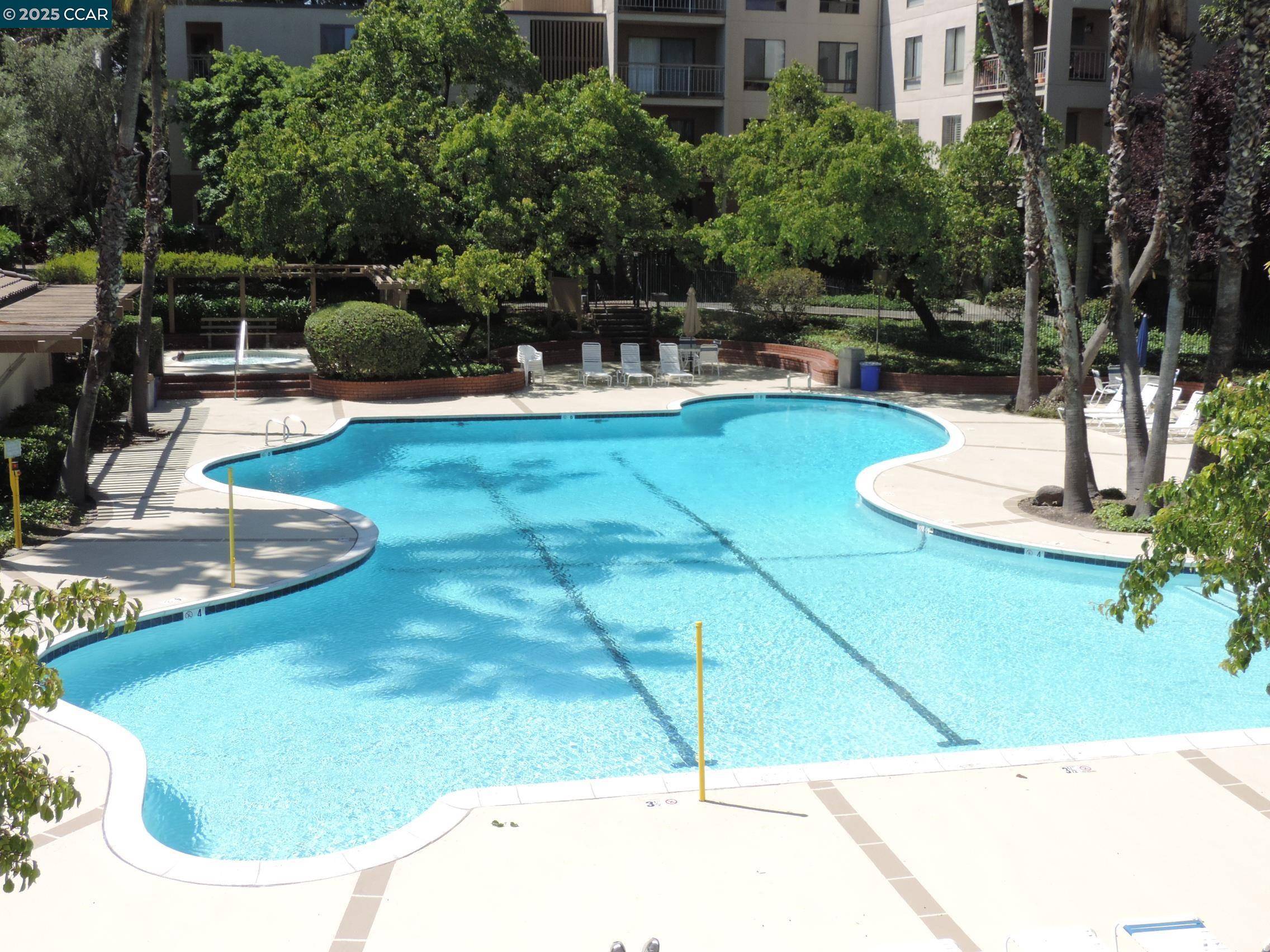 Walnut Creek, CA 94596,310 N Civic #315