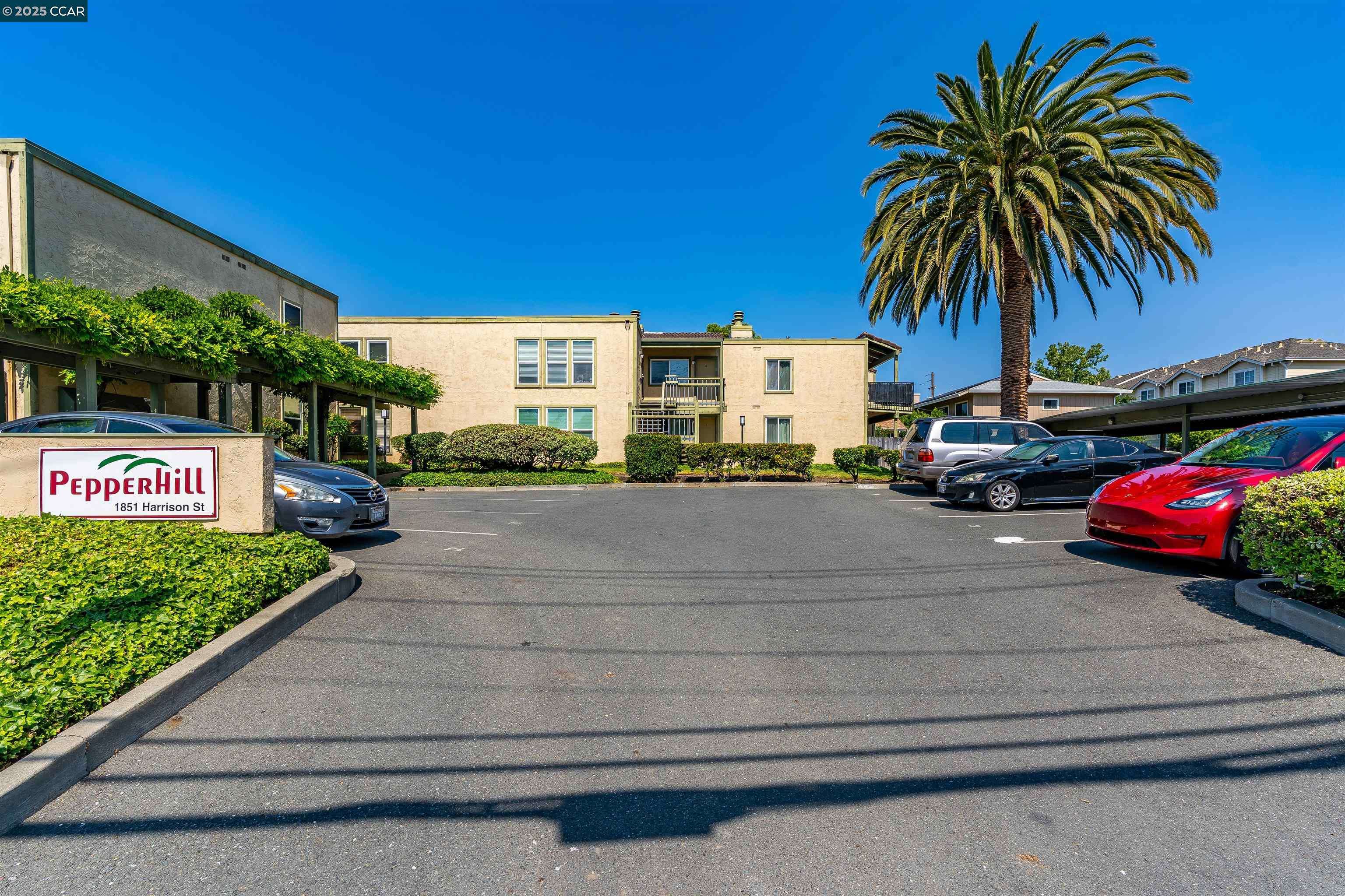Concord, CA 94520,1851 Harrison St #6