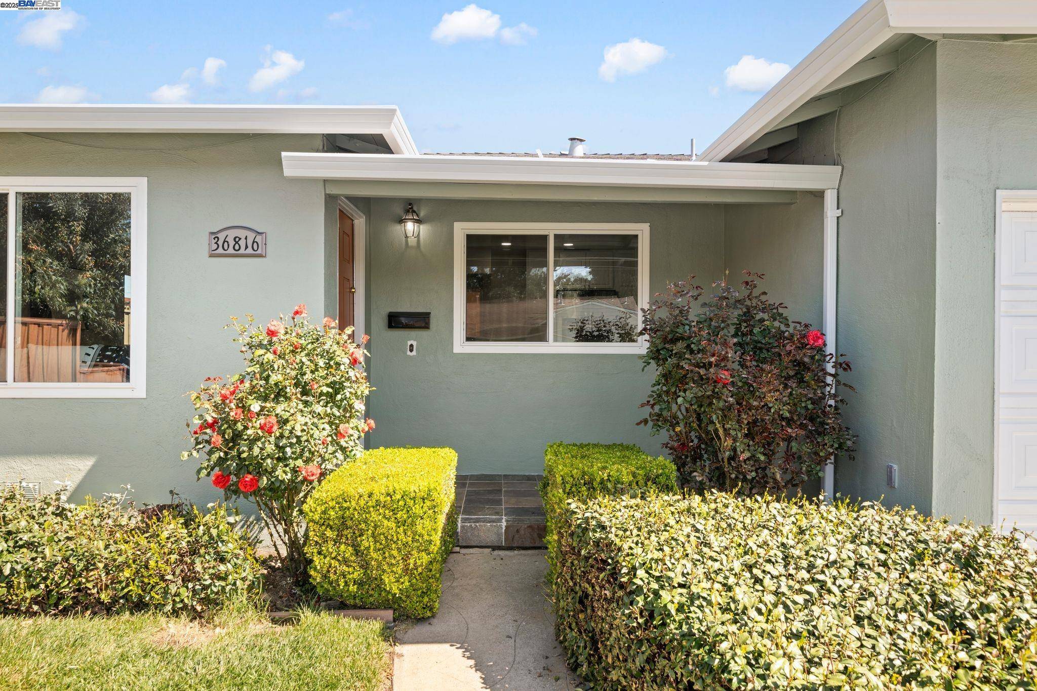 Fremont, CA 94536,36816 Capistrano Dr