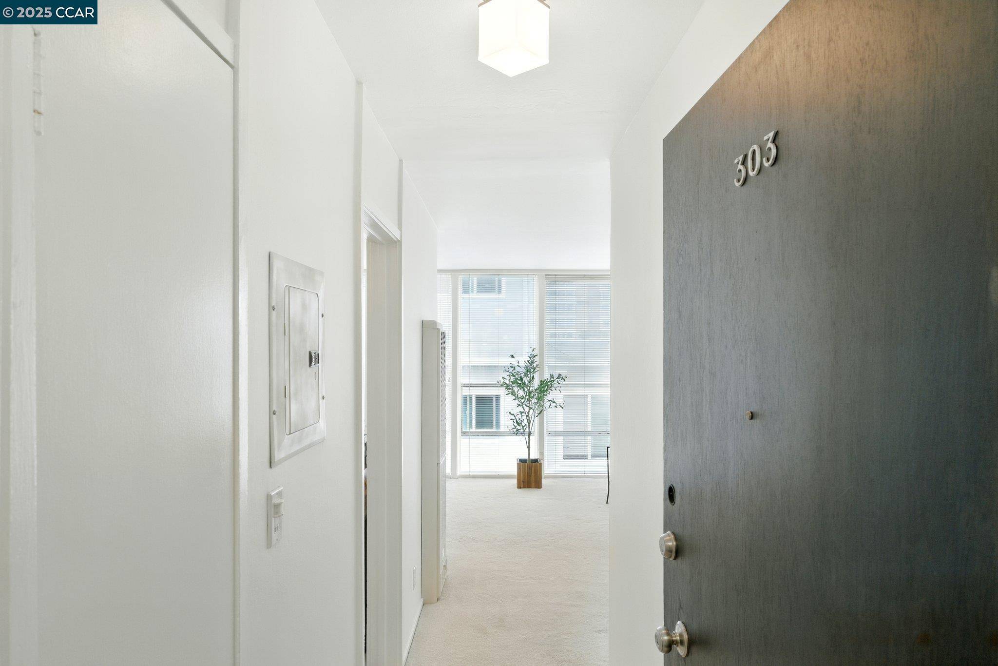 Oakland, CA 94607,193 Montecito #303