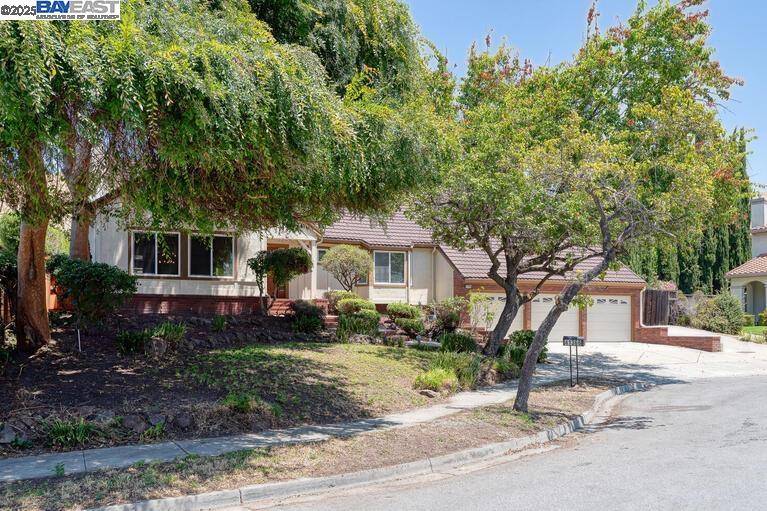 Fremont, CA 94539,41366 Charlita Ct