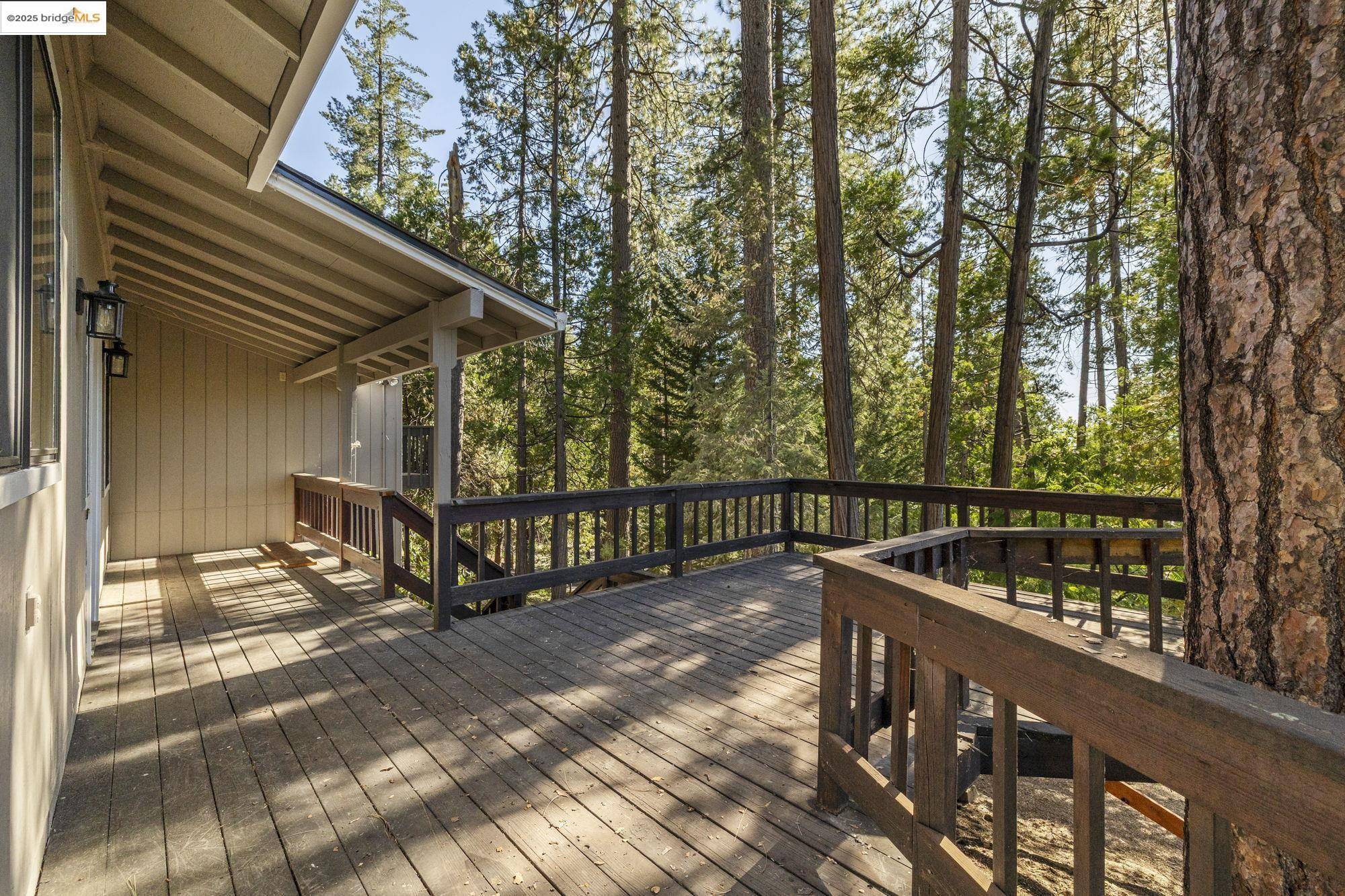 Twain Harte, CA 95383,22693 Tamarack Dr