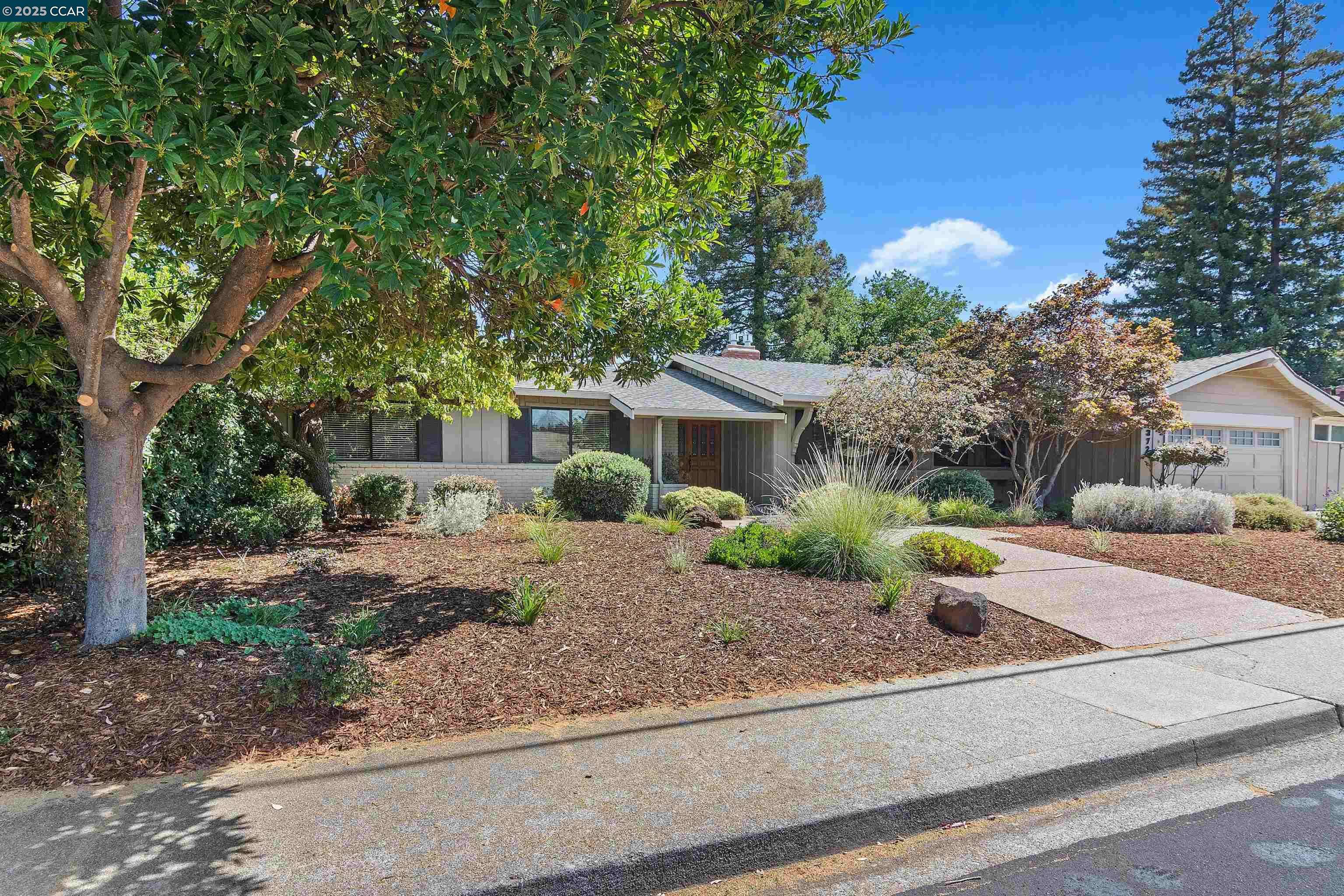 Walnut Creek, CA 94598,372 El Divisadero Ave