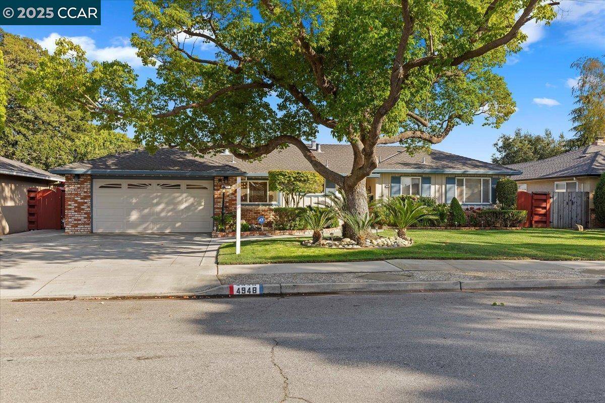 Fremont, CA 94536,4948 Norris Rd
