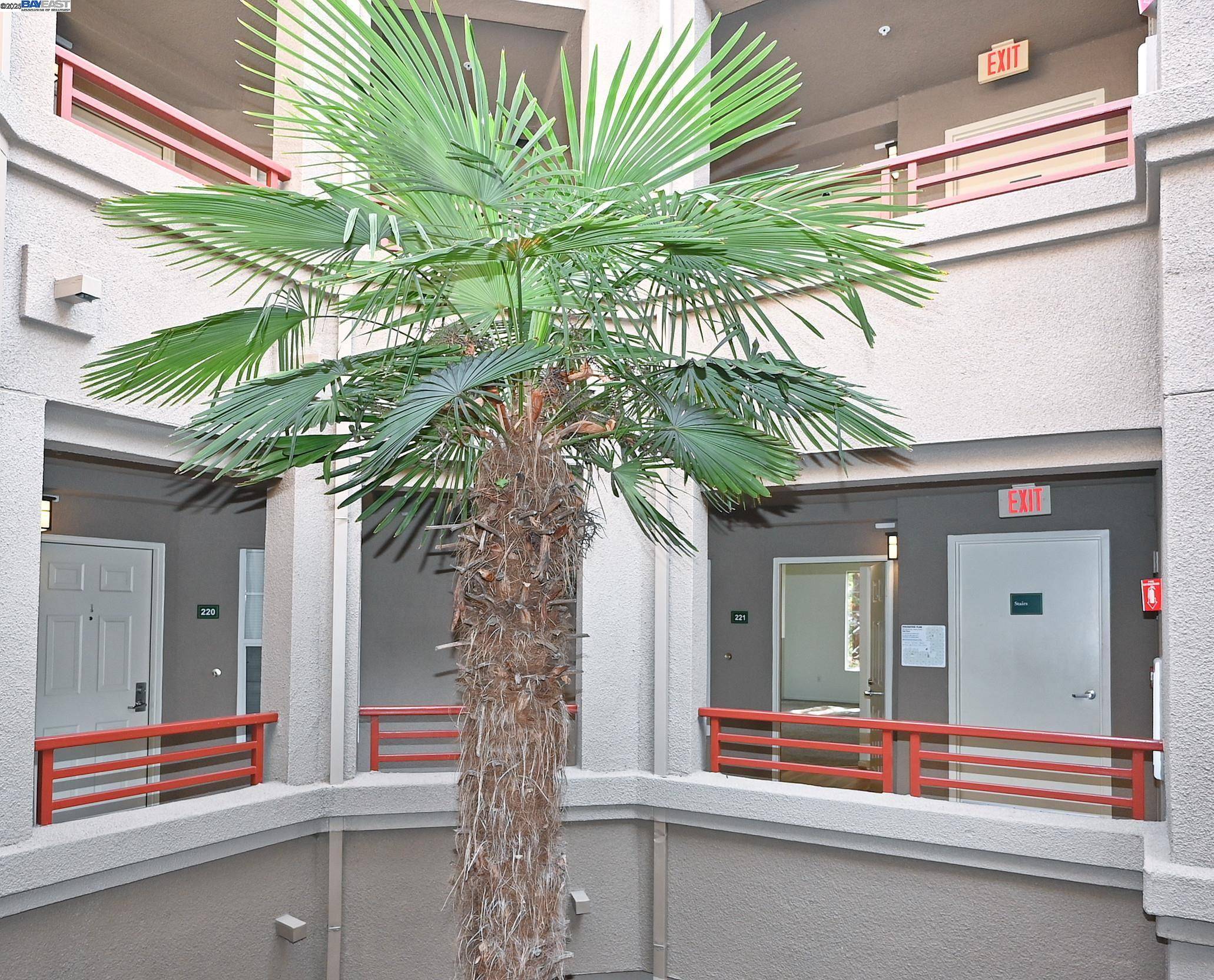 Oakland, CA 94618,280 Caldecott Ln #221