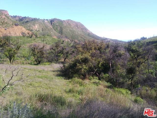 Malibu, CA 90265,2517 Encinal Canyon Road