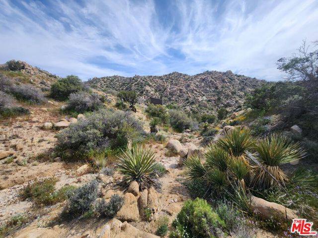 Yucca Valley, CA 92286,20 W Omega Trail