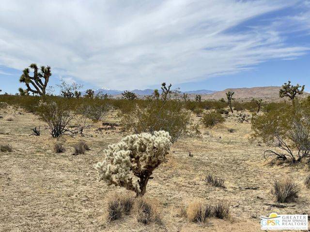 Joshua Tree, CA 92284,0 Verbena Rd.