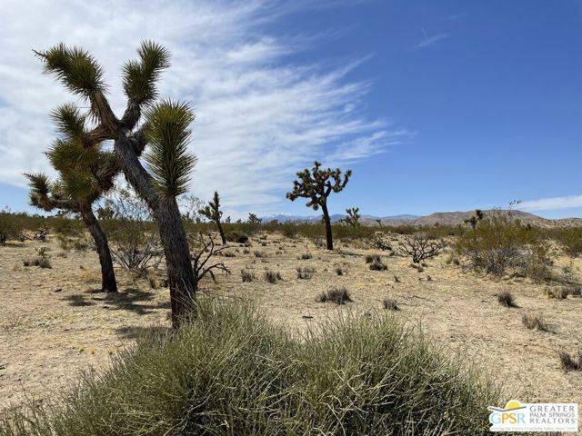 Joshua Tree, CA 92284,0 Verbena Rd.