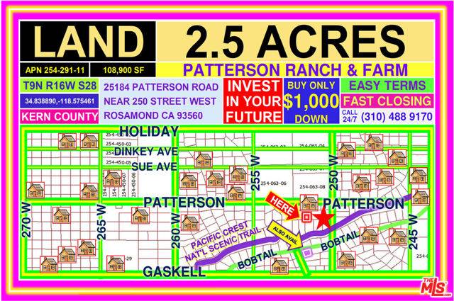 Rosamond, CA 93560,25014 W PATTERSON Road