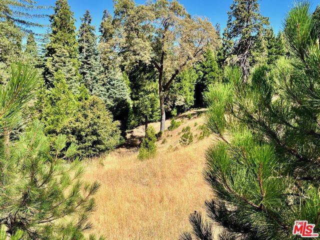 Lake Arrowhead, CA 92352,284 Hidden Forest Road