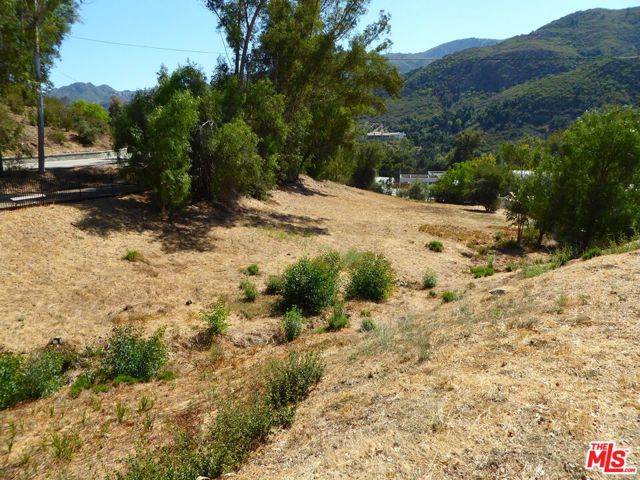 Agoura Hills, CA 91301,29836 Triunfo Drive