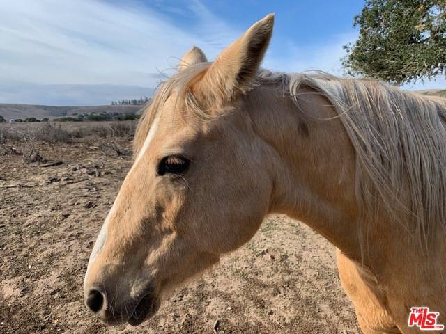 Lompoc, CA 93436,1 Sweeney Road