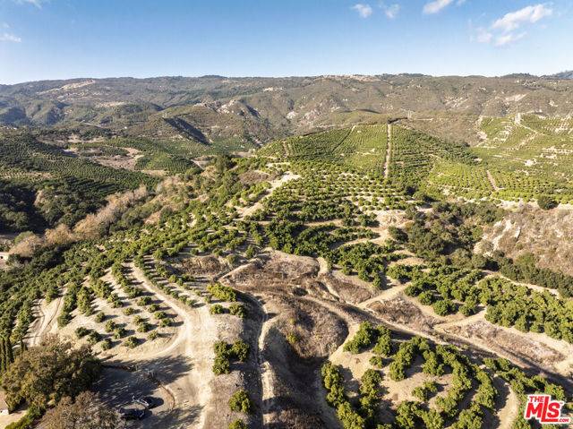 Santa Barbara, CA 93111,1500 Camino Meleno