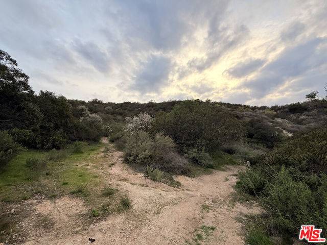 Tujunga (los Angeles), CA 91042,9739 N Estaban Way