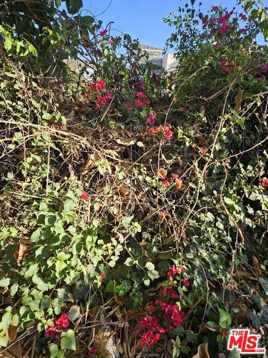 Culver City, CA 90232,4299 Madison Avenue