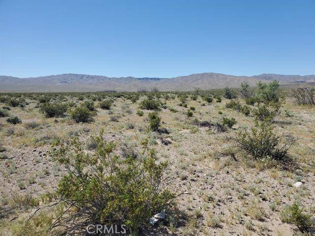 Newberry Springs, CA 92365,0 Autumn Leaf Road