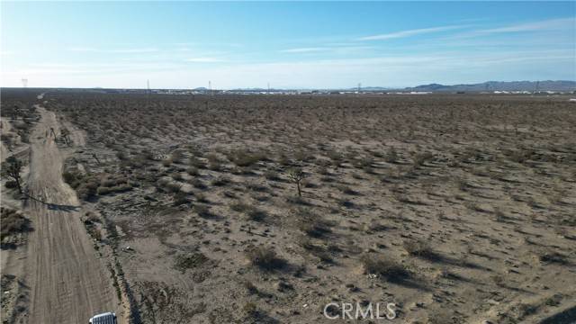 Phelan, CA 92371,0 Cactus