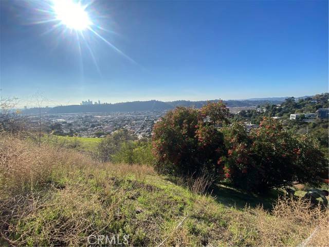 Los Angeles, CA 90065,280 Grand View Terrace