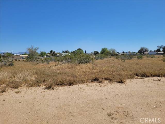 Hesperia, CA 92345,41000 Lilac Street