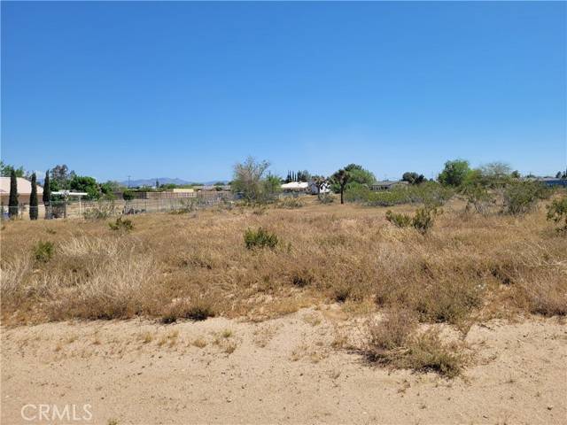 Hesperia, CA 92345,41000 Lilac Street