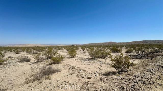 Twentynine Palms, CA 92277,0 -