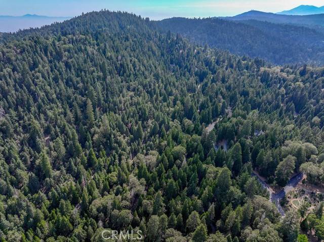 Lake Arrowhead, CA 92352,29191 Pigeon Hawk Lane