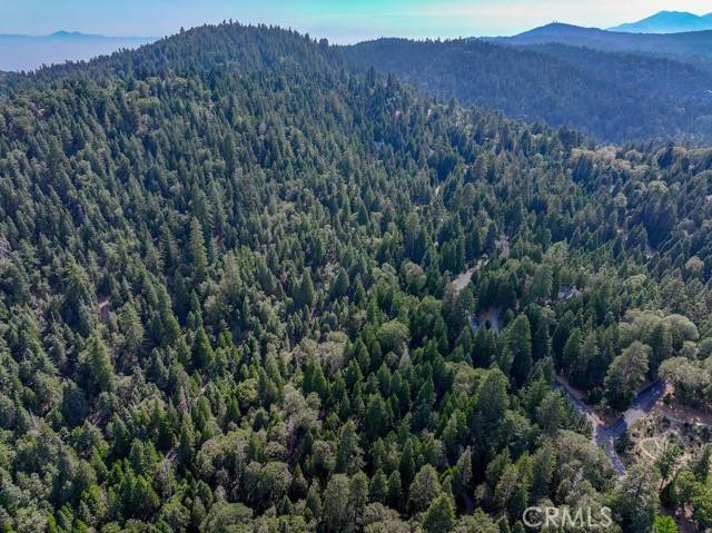 Lake Arrowhead, CA 92352,29207 Pigeon Hawk Lane