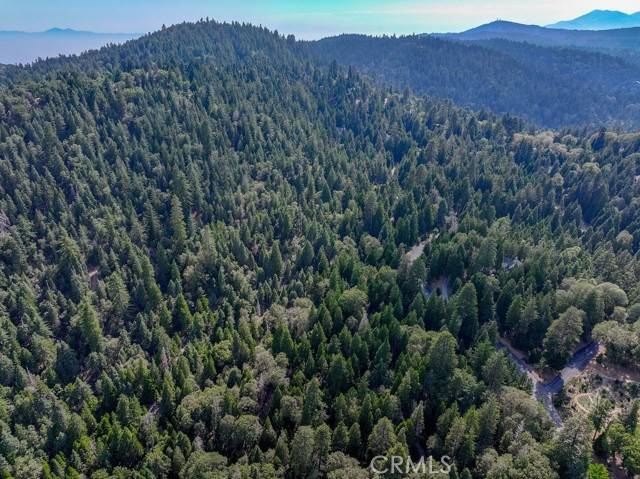 Lake Arrowhead, CA 92352,29215 Pigeon Hawk Lane