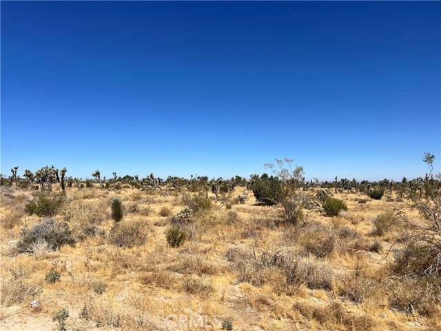 Pinon Hills, CA 92372,0 APN 3099-171-19-0000