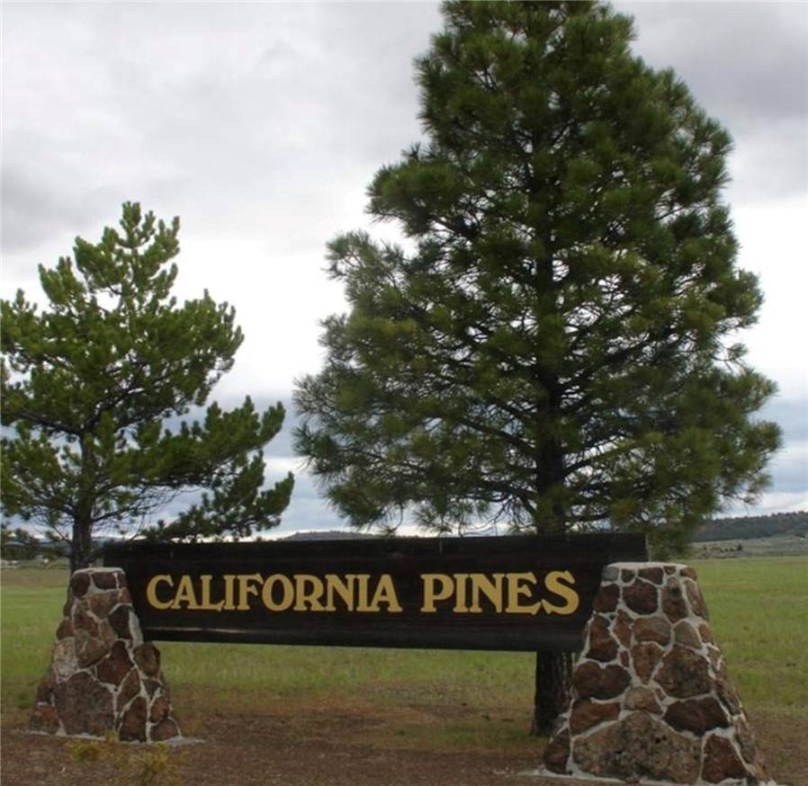 Alturas, CA 96101,0 LOT 23, BLOCK 51-UNIT 3