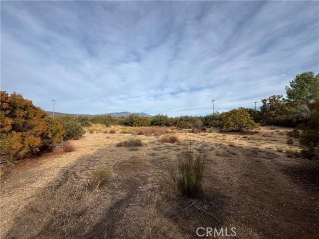 Anza, CA 92539,59255 Breiner Valley Rd