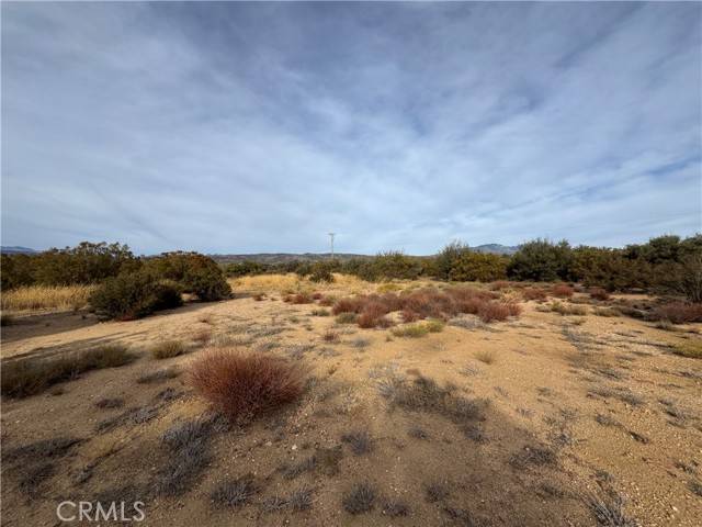 Anza, CA 92539,59255 Breiner Valley Rd