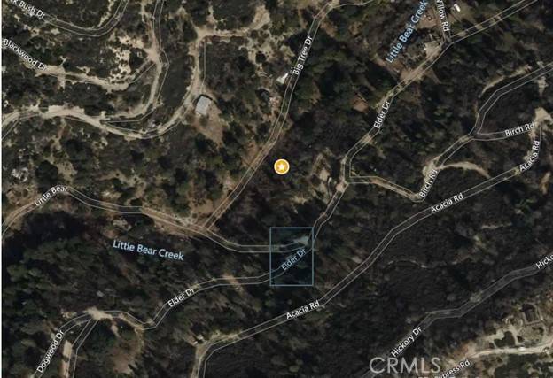 Cedar Glen, CA 92321,0 Big Tree Drive