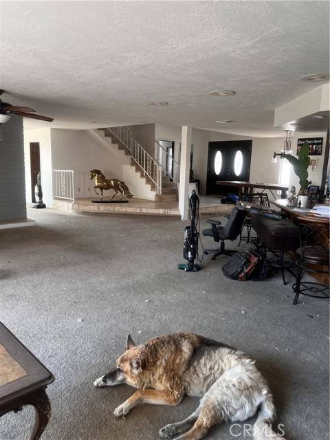 Victorville, CA 92395,13290 Rain Shadow Road