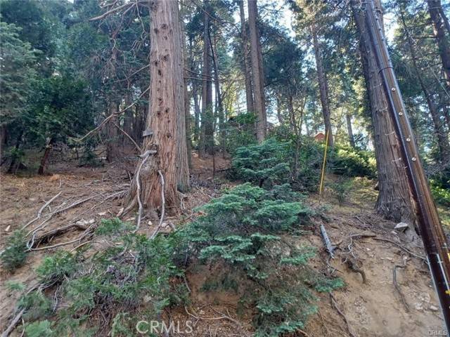 Lake Arrowhead, CA 92352,0 Lake Drive