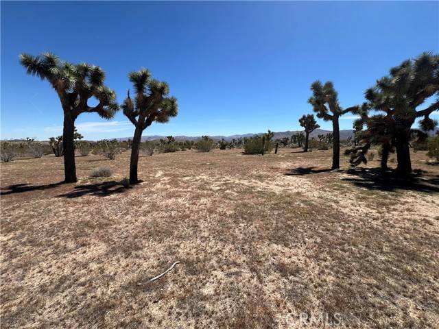 Yucca Valley, CA 92284,0 Paradise View